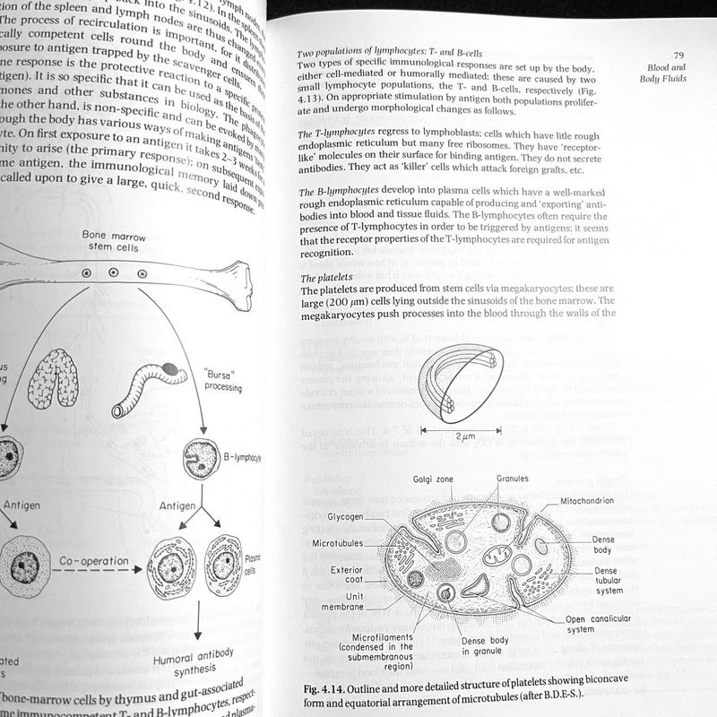 Essentials of Physiology