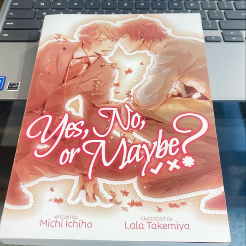 Yes, No, or Maybe? (Light Novel)