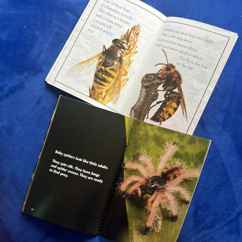 Book Bundle:  Spiders & Bugs