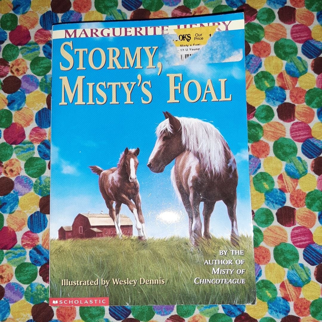 Stormy, Misty's Foal