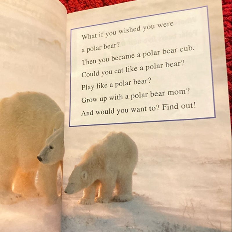 Ranger Rick: I Wish I Was a Polar Bear