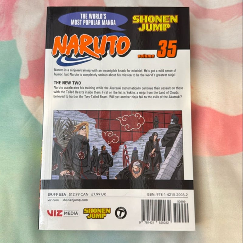 Naruto, Vol. 35