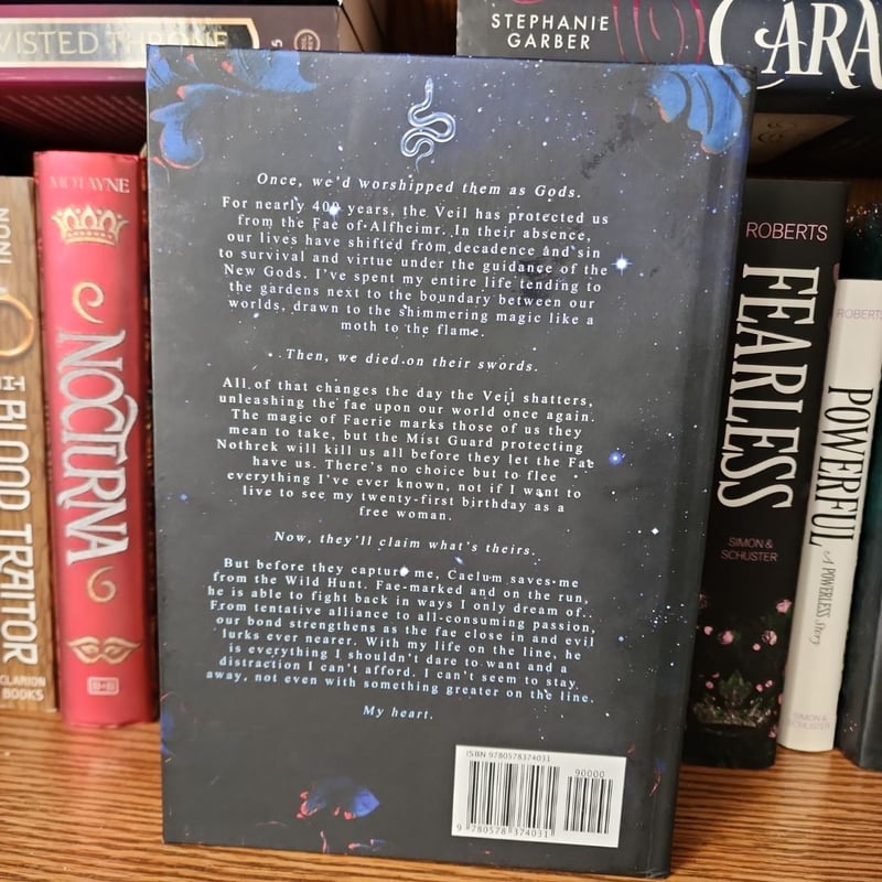 What Lies Beyond the Veil (Of Flesh & Bone Series) by Harper L. Woods ...