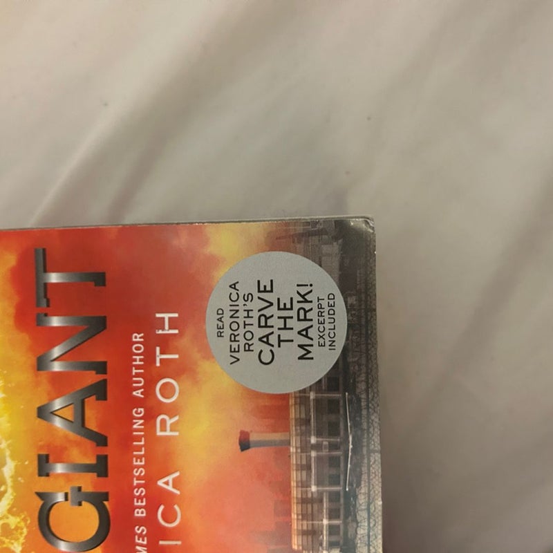 Divergent Series 1-4