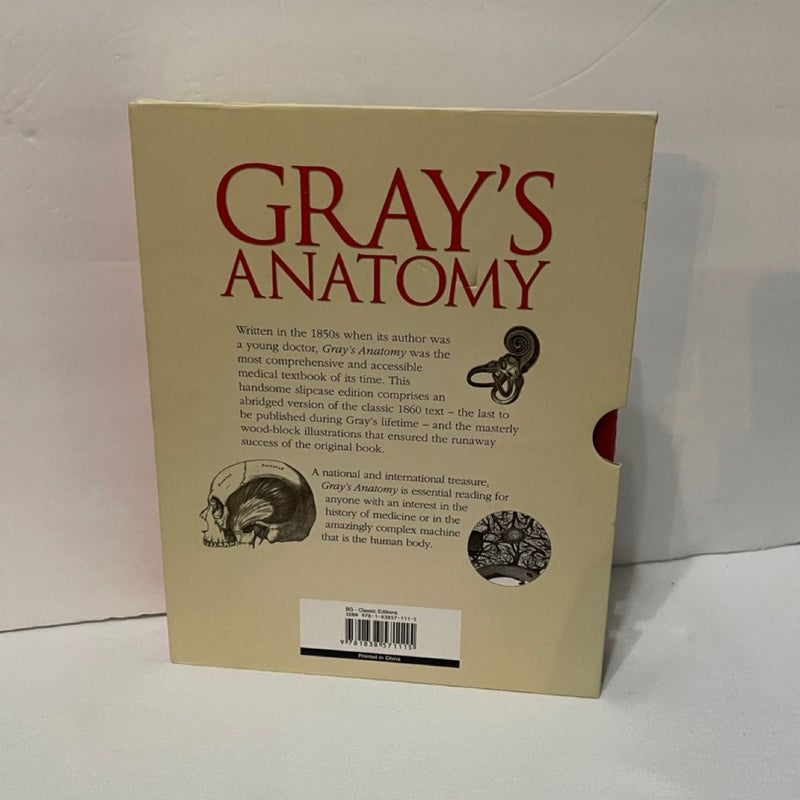 Gray’s Anatomy