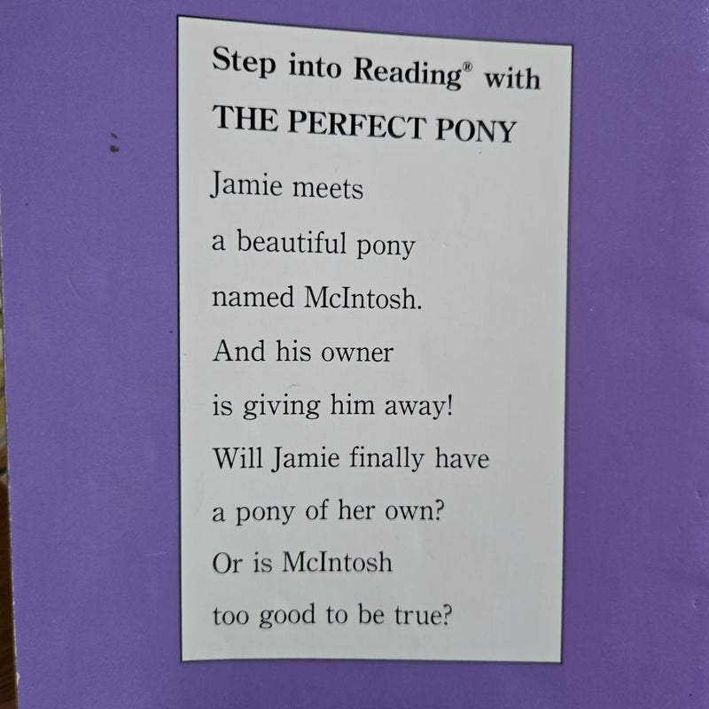 The Perfect Pony