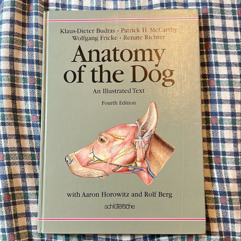 Anatomy of the Dog