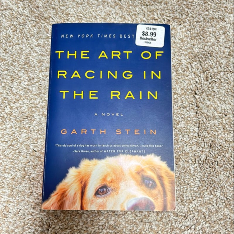 The Art of Racing in the Rain