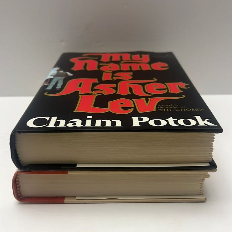 Chaim Potok (2 Book) Bundle: My Name is Asher Lev & The Gift of Asher Lev