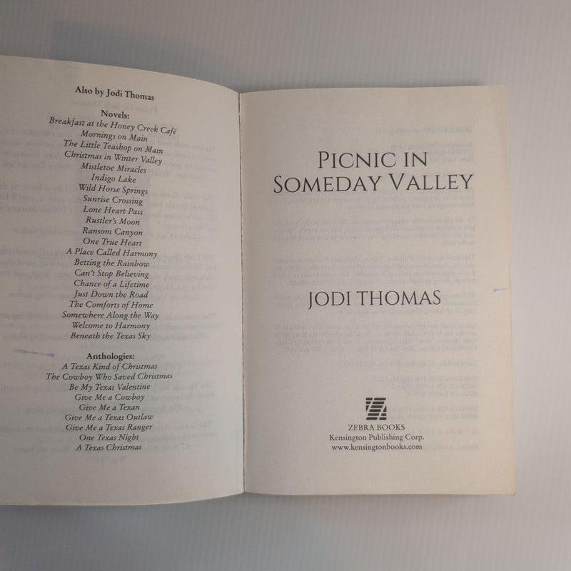 Picnic in Someday Valley