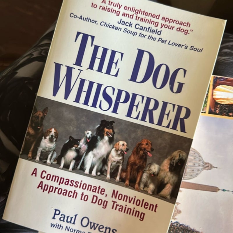 The Dog Whisperer
