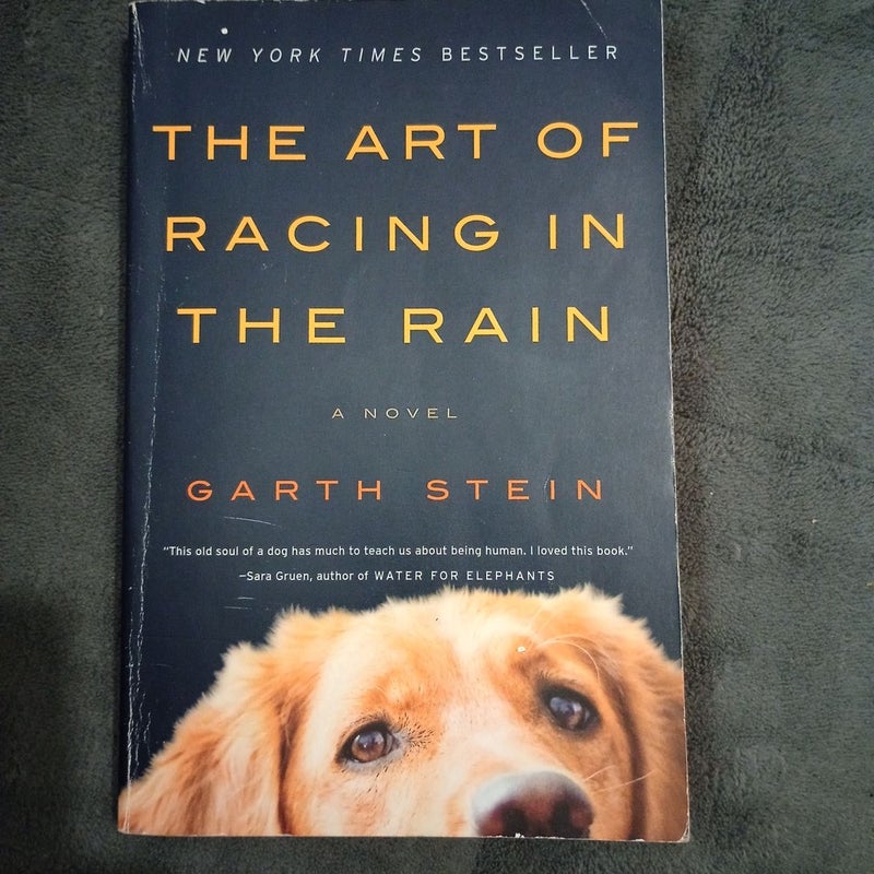 The Art of Racing in the Rain