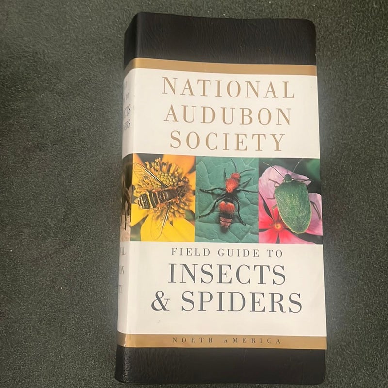 National Audubon Society Field Guide to Insects and Spiders