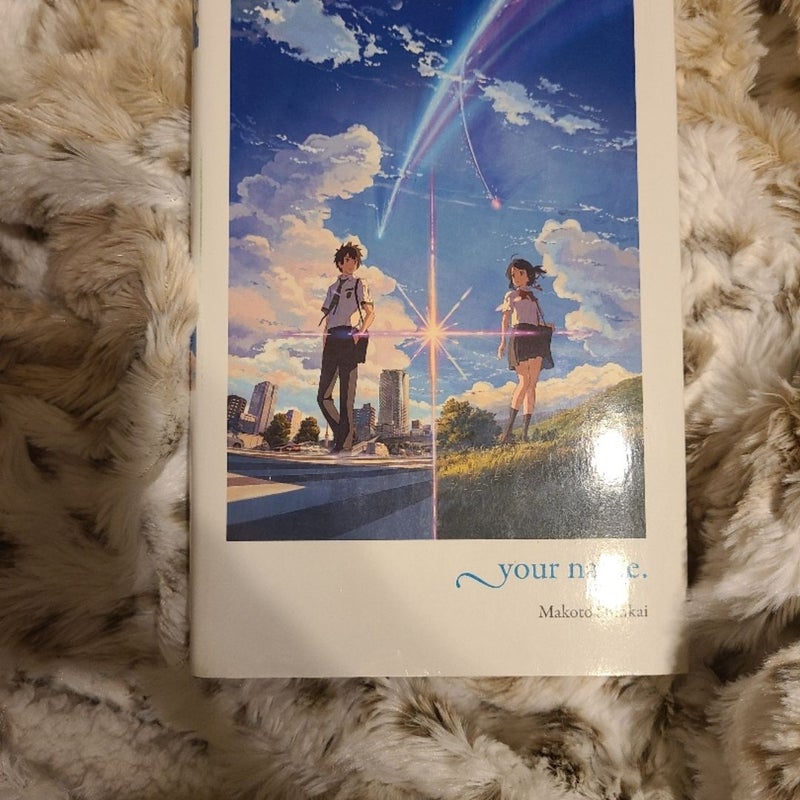 Your Name. (light Novel)