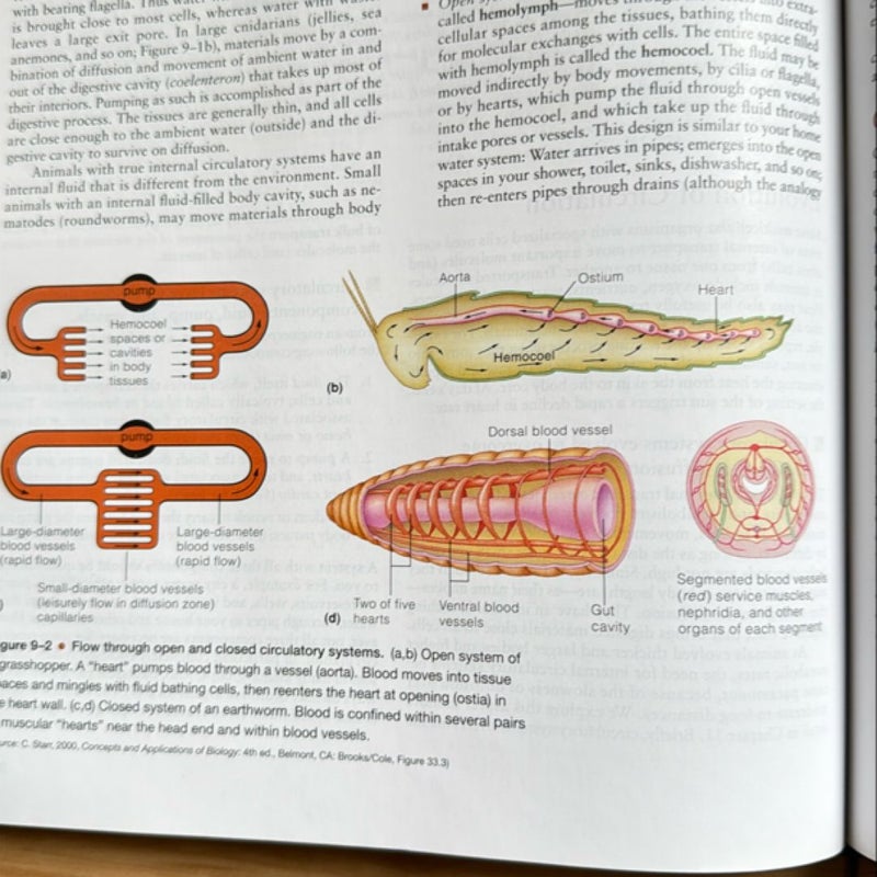 Animal Physiology