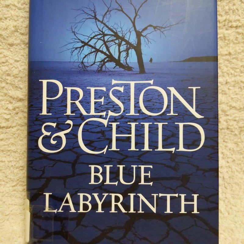 Blue Labyrinth