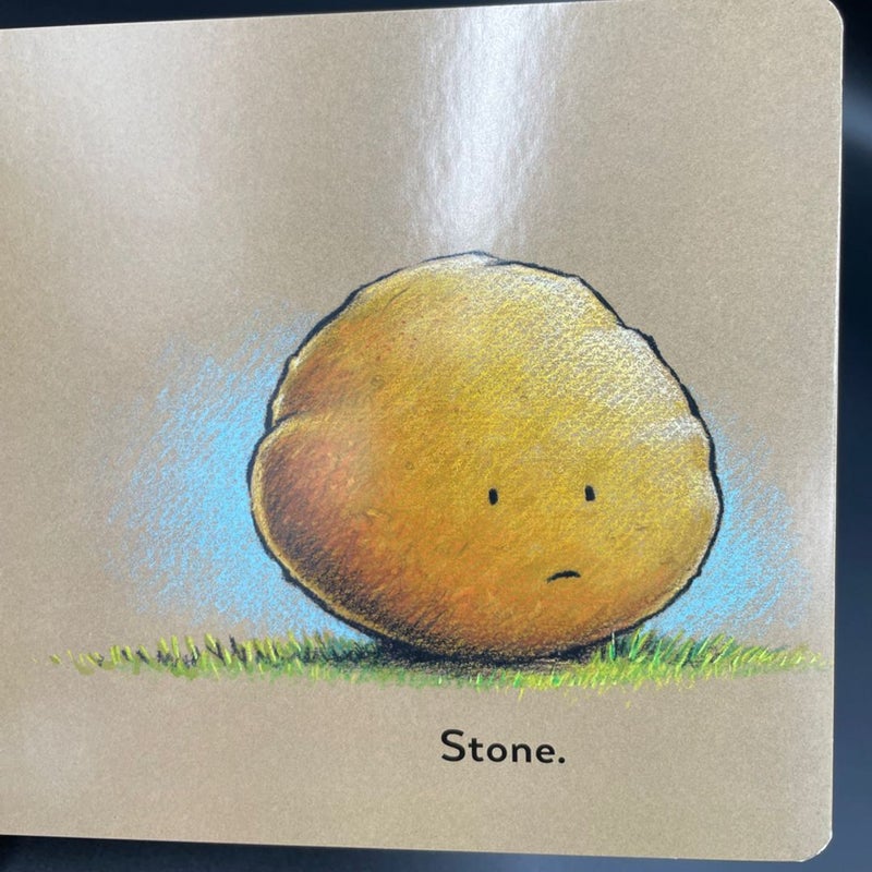 Stick And Stone board book