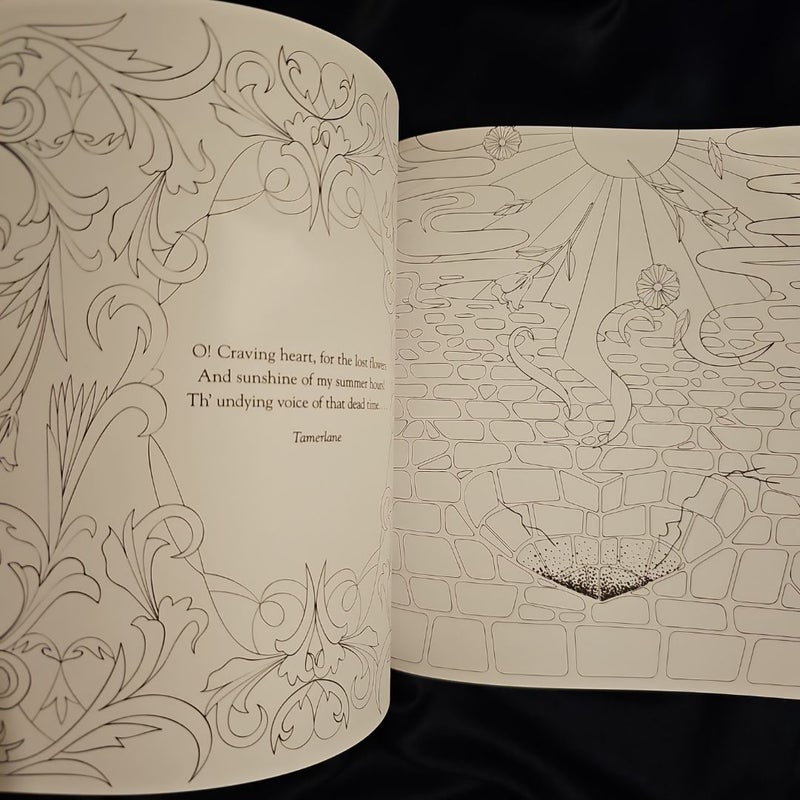 Edgar Allan Poe: an Adult Coloring Book