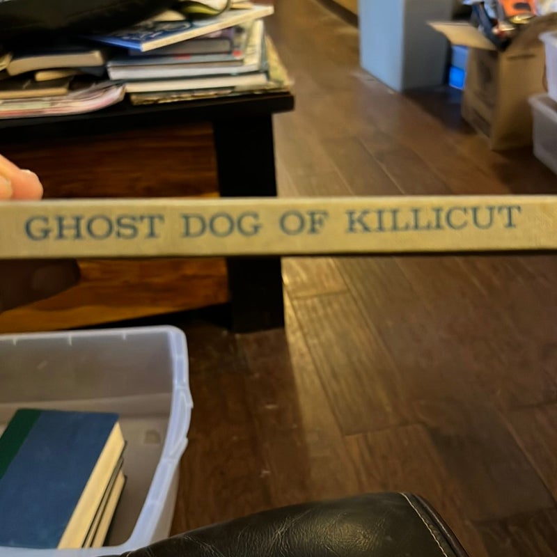 Ghost Dog of Killicut