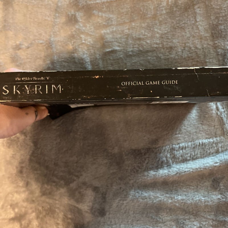 The Elder Scrolls Skyrim