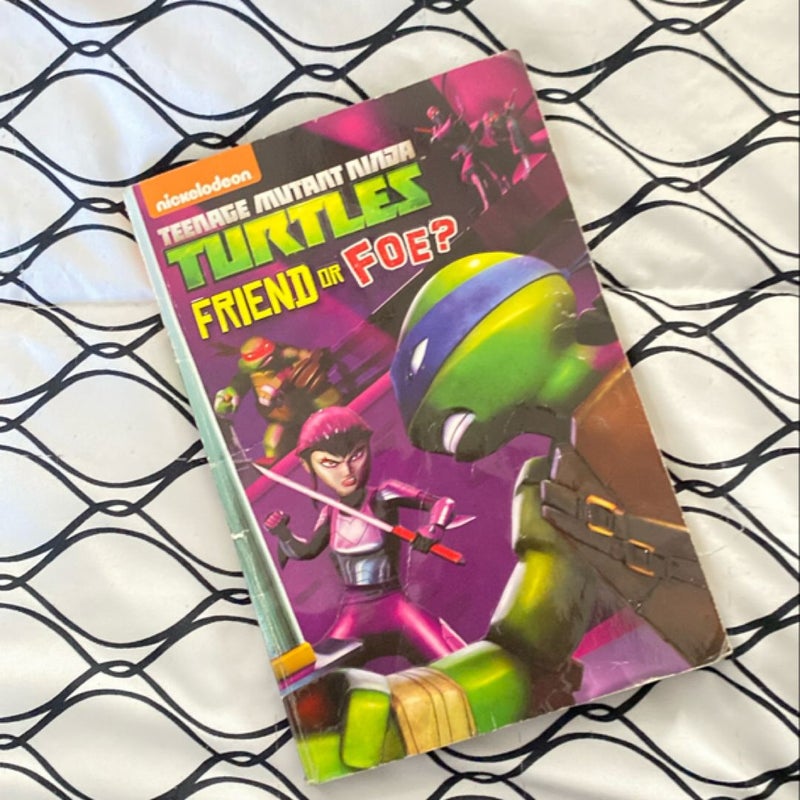 Friend or Foe? (Teenage Mutant Ninja Turtles)