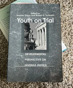 Youth on Trial