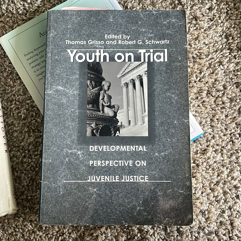 Youth on Trial