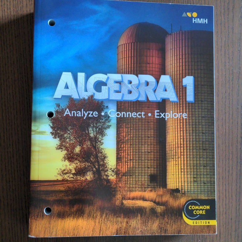 Algebra 1 ACE