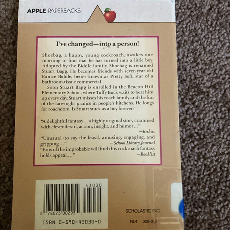 Shoebag