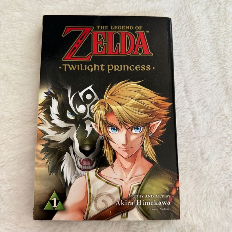 The Legend of Zelda: Twilight Princess, Vol. 1