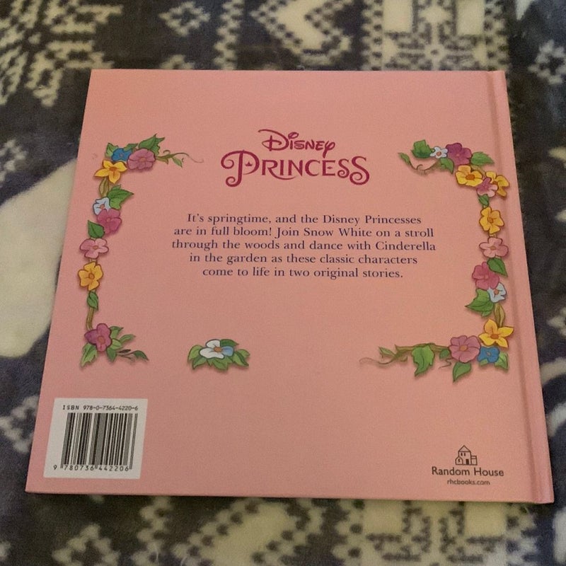 Disney Princess 