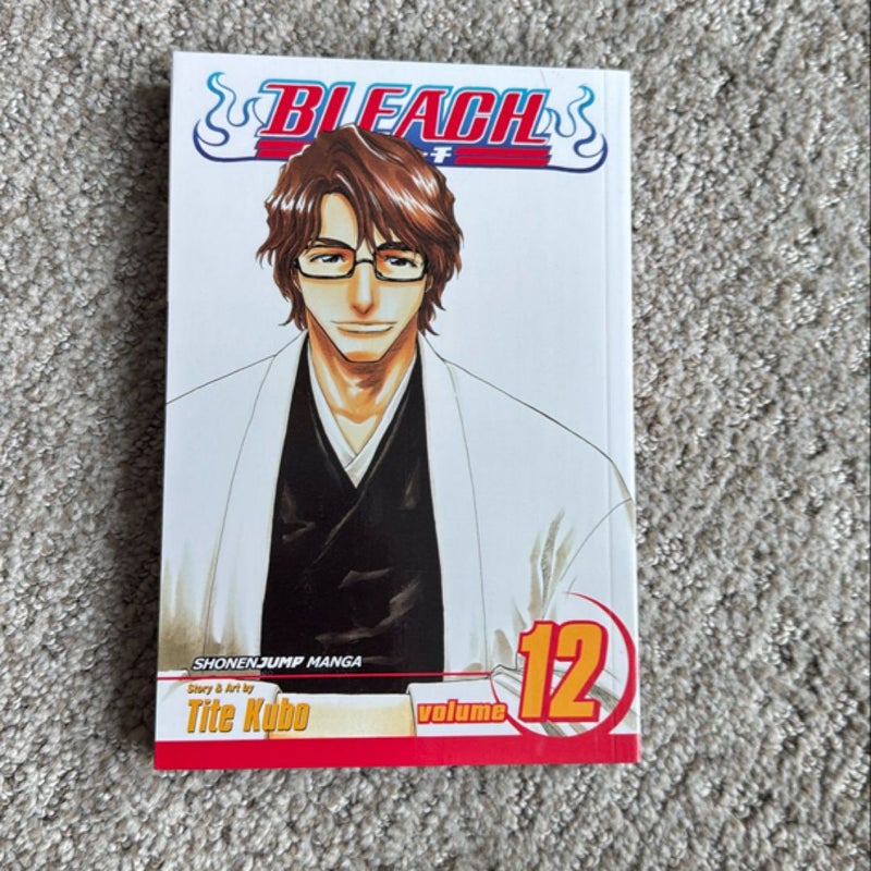 Bleach, Vol. 12