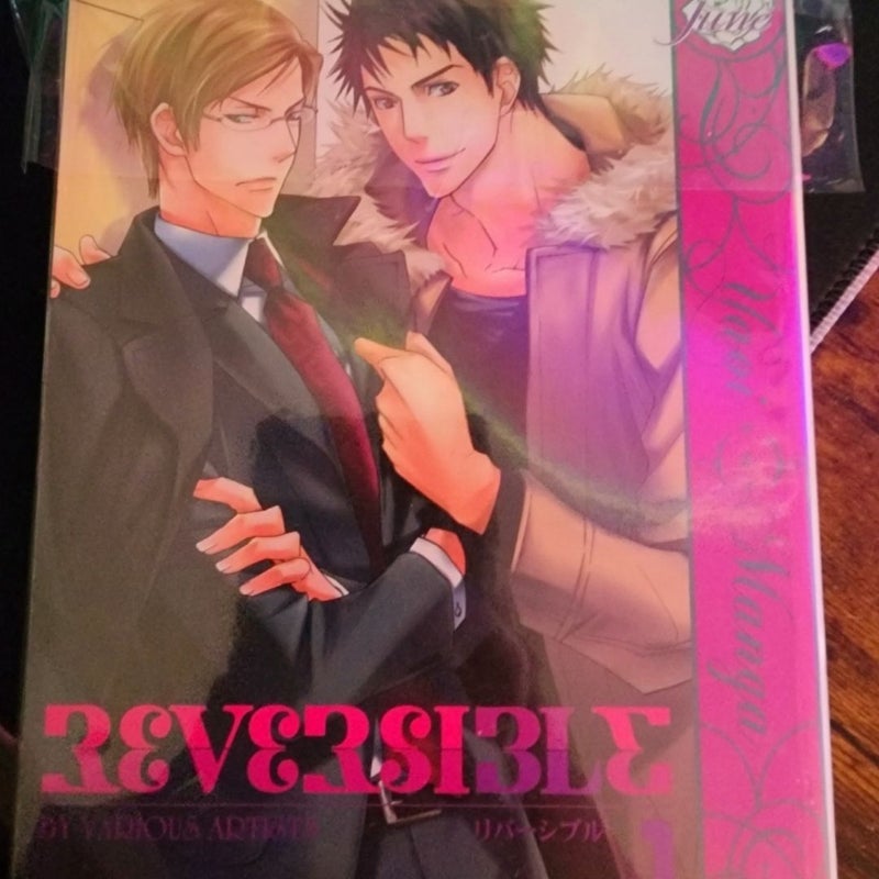 BL Manga Lot (18+ Content)
