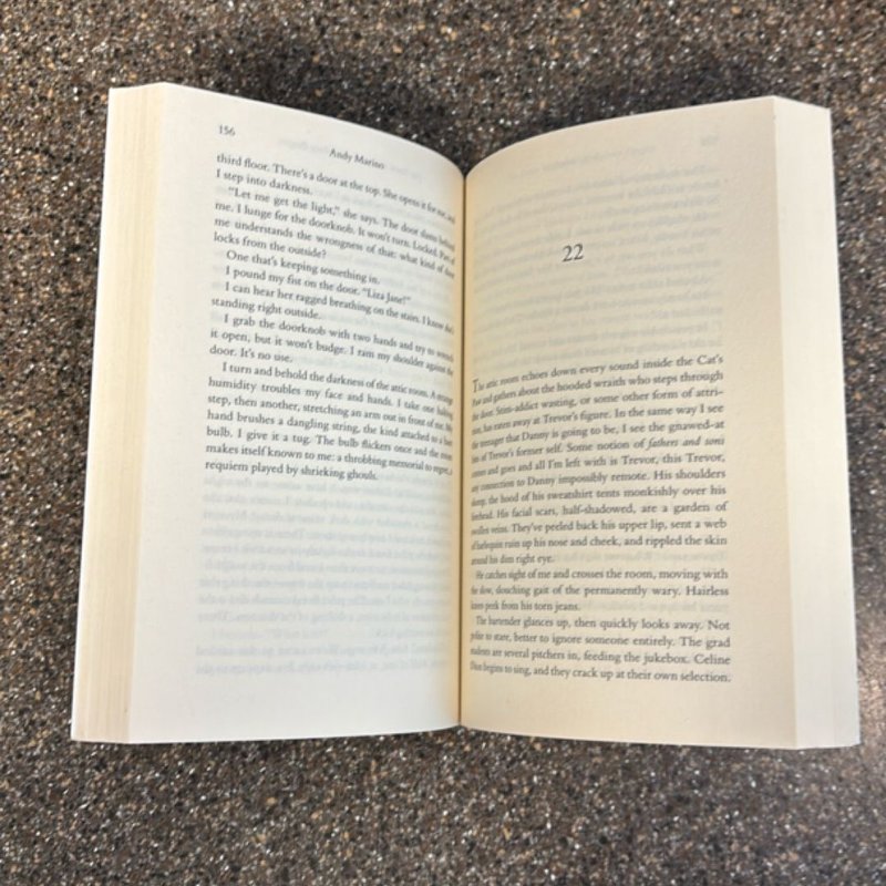 The Seven Visitations of Sydney Burgess