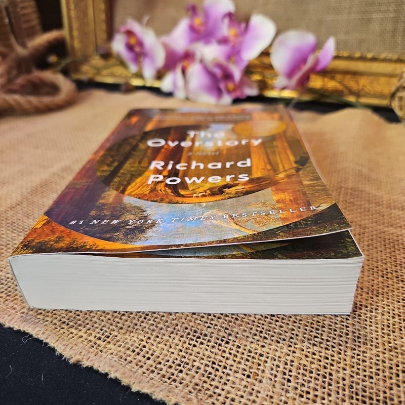 The Overstory