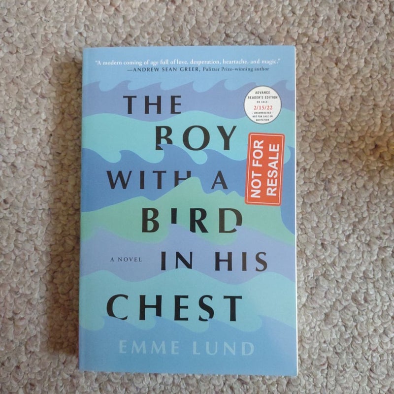 The Boy with a Bird in His Chest