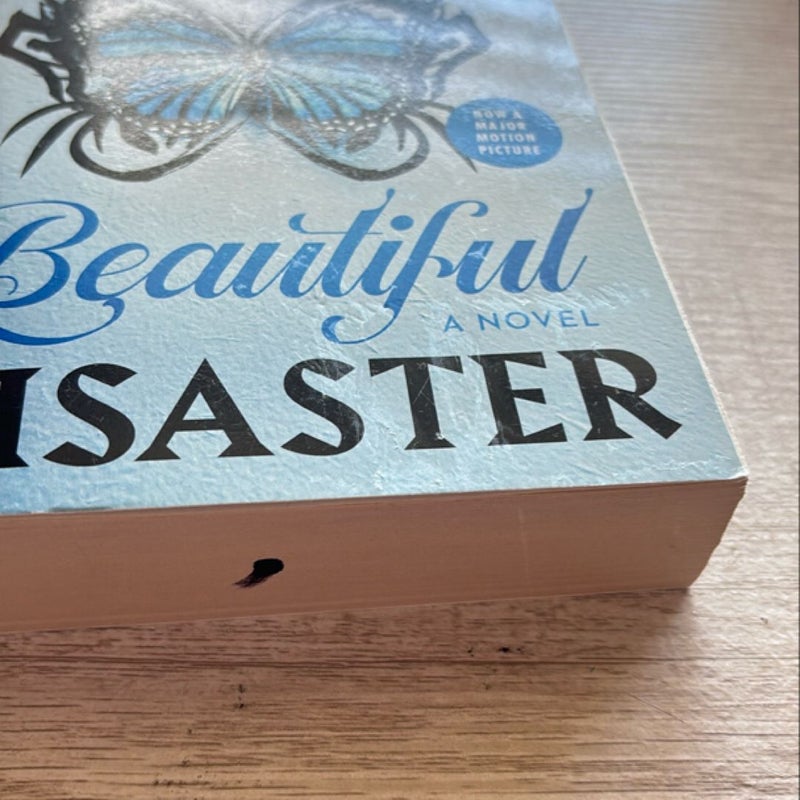 Beautiful Disaster