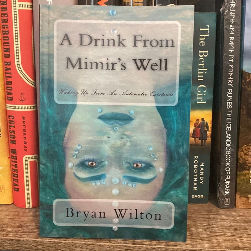 A Drink from Mimir's Well