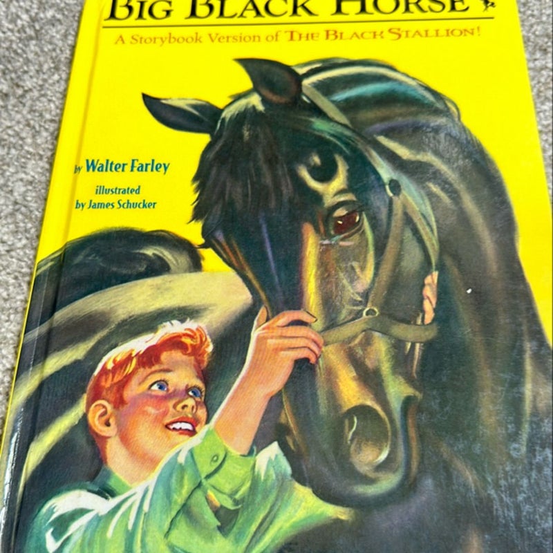 Big Black Horse