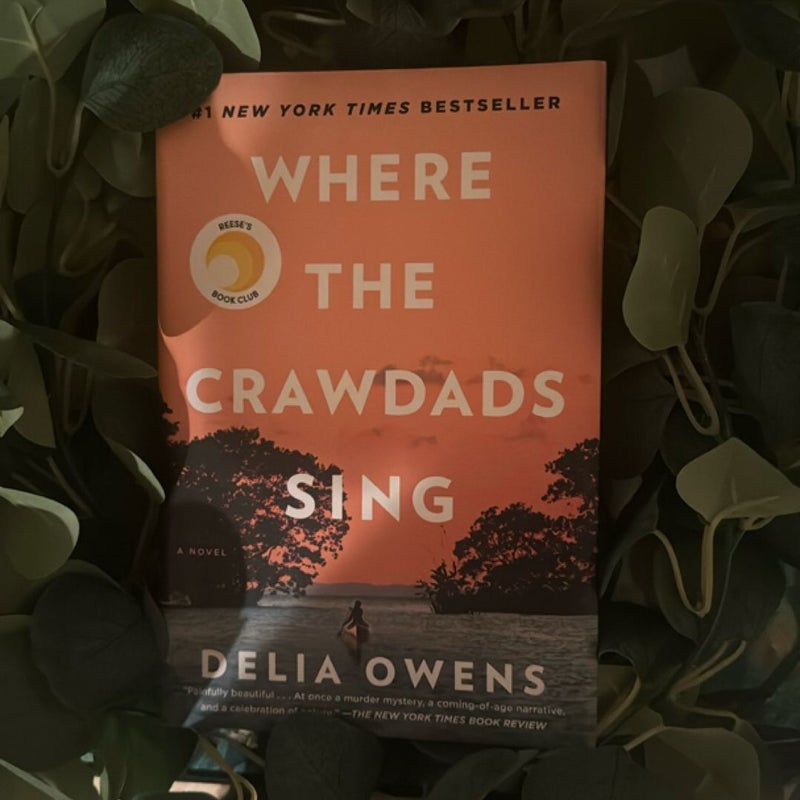 Where the Crawdads Sing