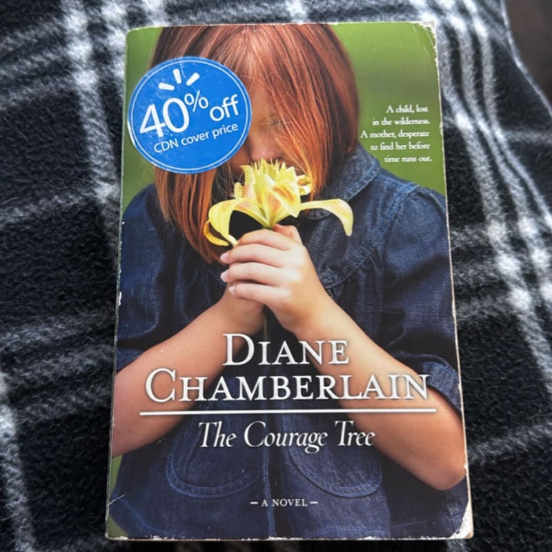 💥 Diane Chamberlain Bundle (4 books total) 