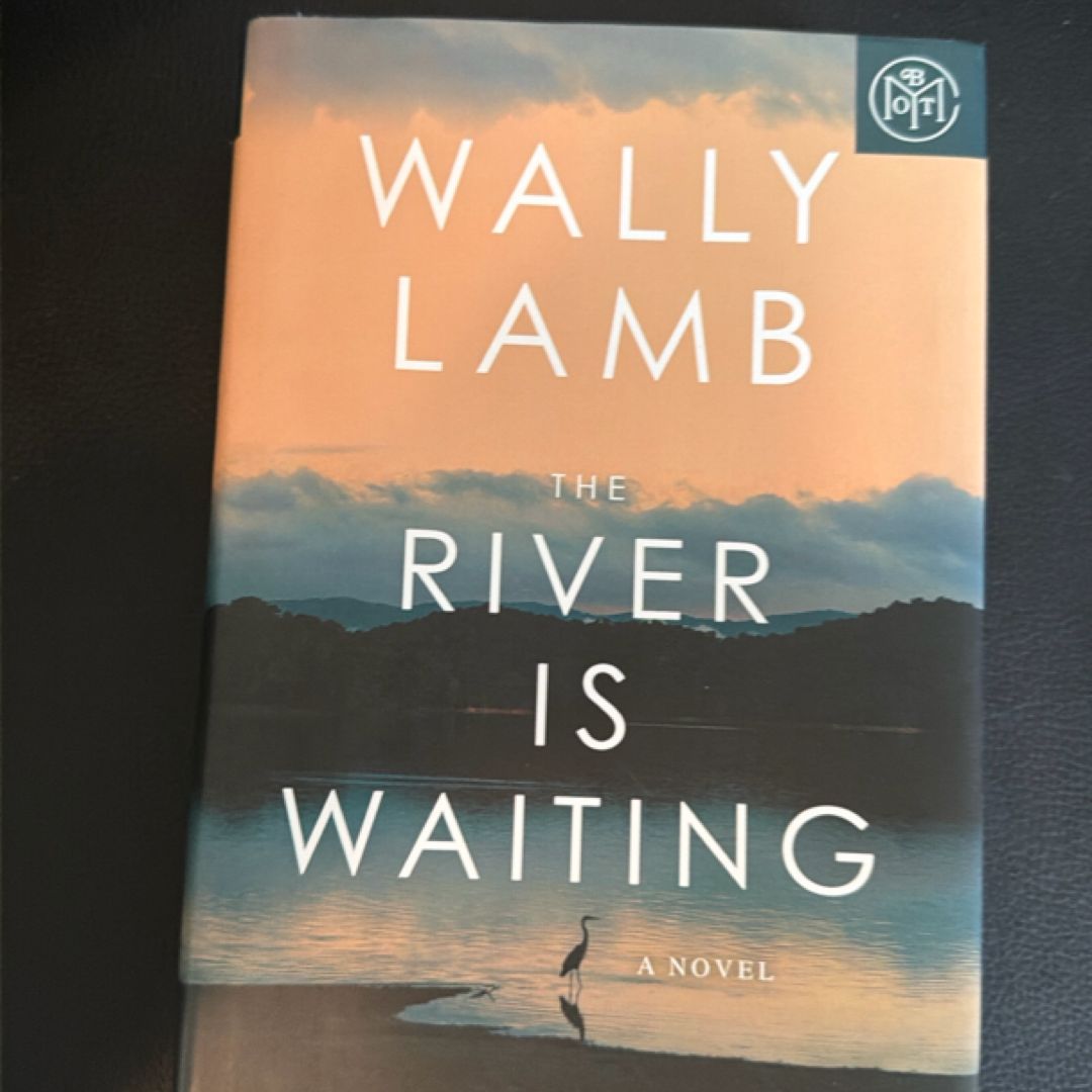 The River Is Waiting (Oprah's Book Club)