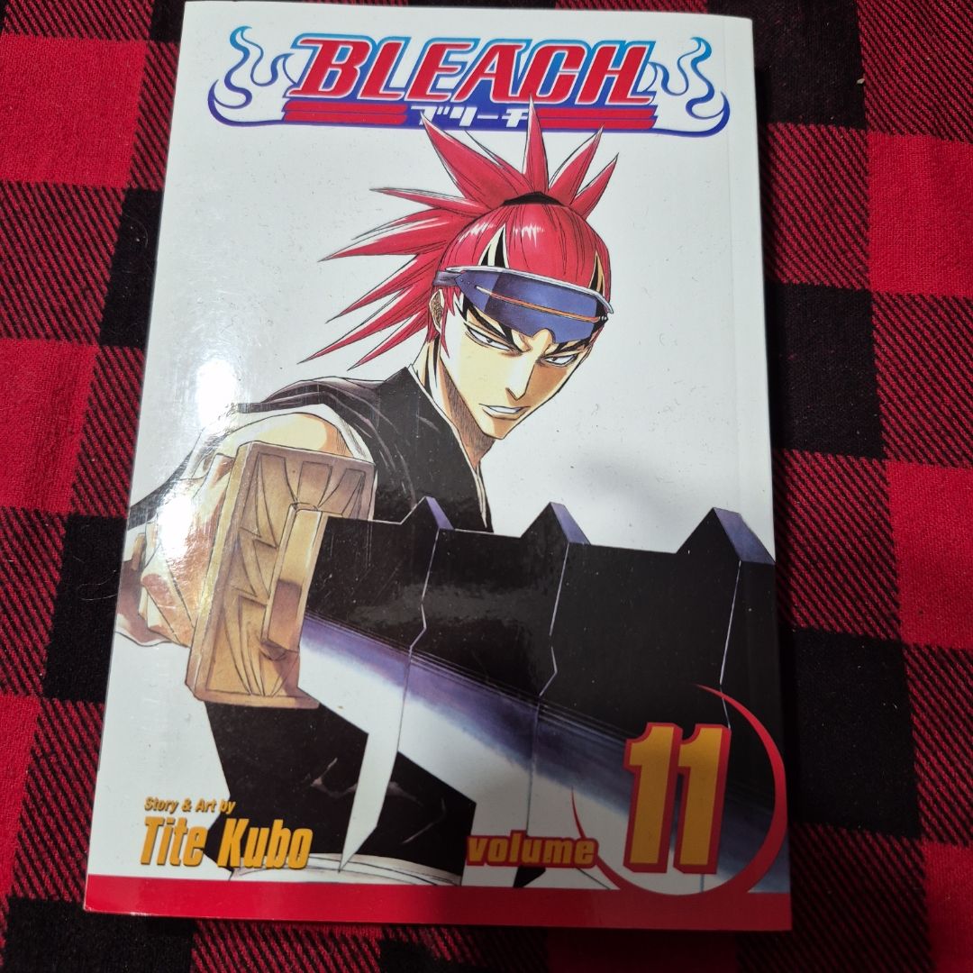 Bleach, Vol. 11