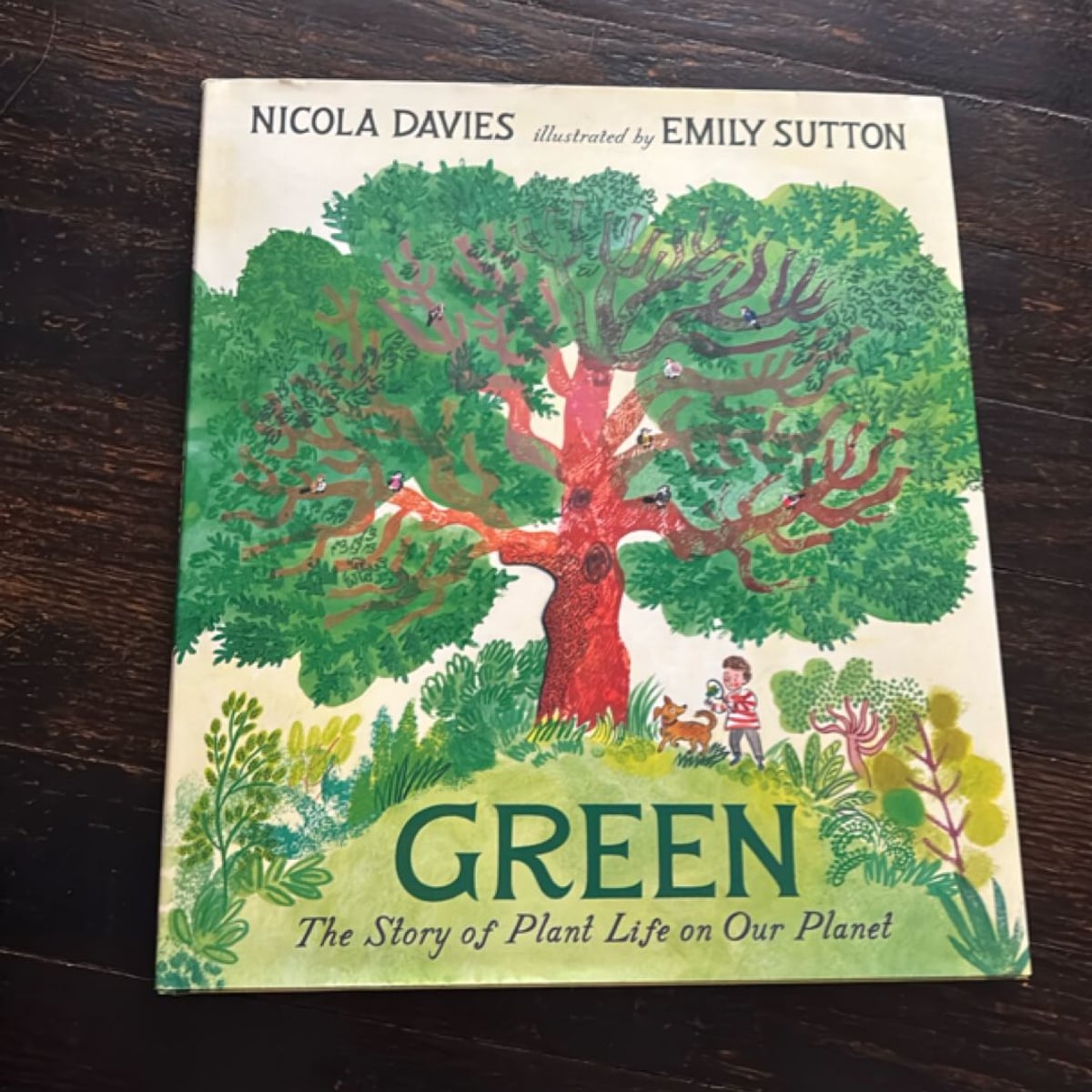 Green: the Story of Plant Life on Our Planet by Nicola Davies