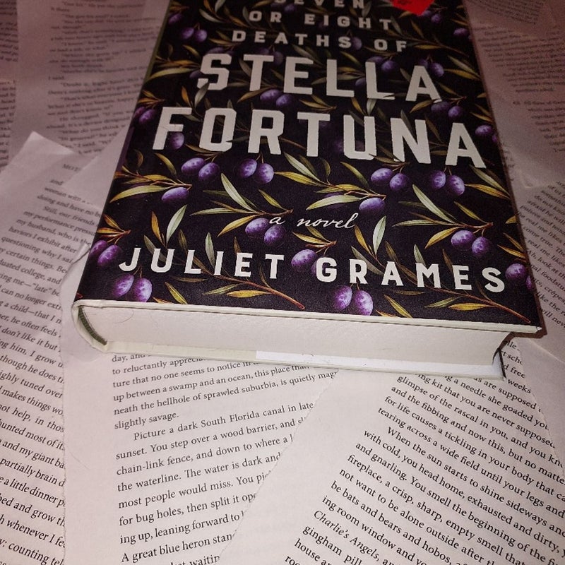 The Seven or Eight Deaths of Stella Fortuna