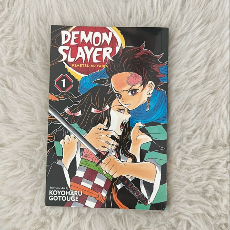 Demon Slayer: Kimetsu No Yaiba, Vol. 1