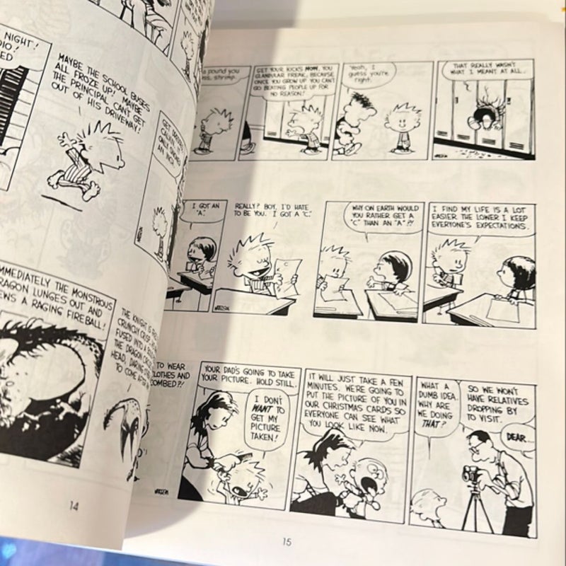 The Indispensable Calvin and Hobbes