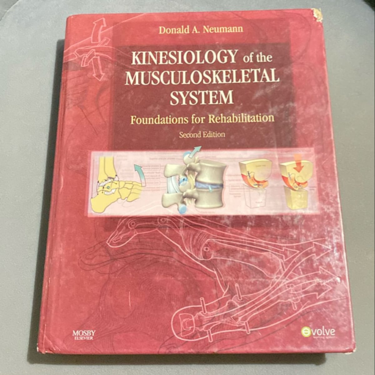 Kinesiology of the Musculoskeletal System by Donald A. Neumann