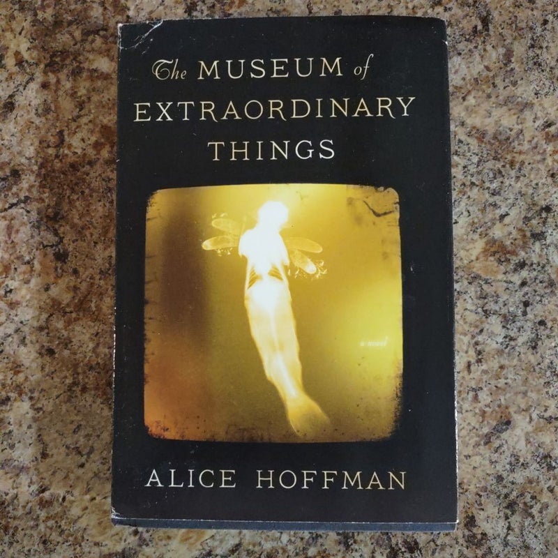 The Museum of Extraordinary Things