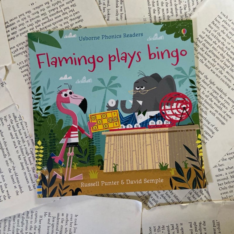 Flamingo Plays Bingo